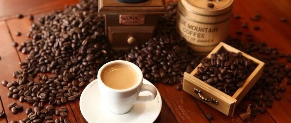 这些特种设备,不需对使用登记证进行审核